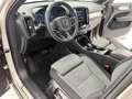 Volvo XC40 XC40 T4 PLUG IN CORE Grigio - thumbnail 7
