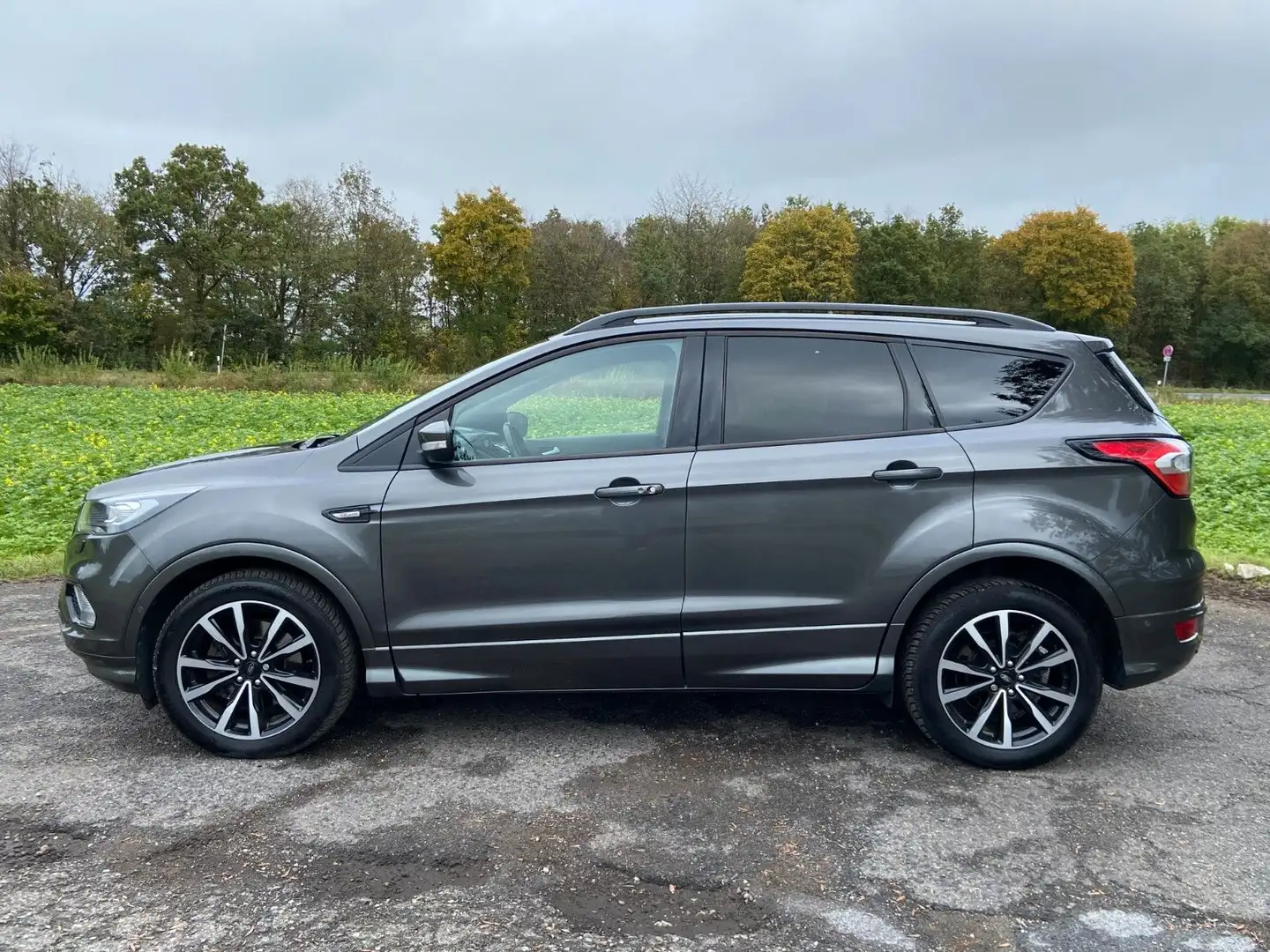 Ford Kuga 2.0 EcoBoost ST-Line Panorama Navi SHZ AHK Grau - 2
