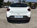 Dacia Sandero Stepway 1.0 TCe ECO GPL Expression PRONTA CONSEGN Bianco - thumbnail 5