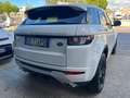 Land Rover Range Rover Evoque Range Rover Evoque I 2011 5p 2.2 sd4 Dynamic 190cv Blanc - thumbnail 6
