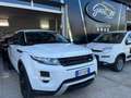 Land Rover Range Rover Evoque Range Rover Evoque I 2011 5p 2.2 sd4 Dynamic 190cv Blanc - thumbnail 21