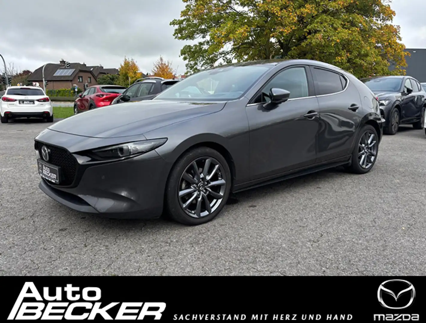 Mazda 3 Bose | Design-Paket | 360° Kamera Grau - 1