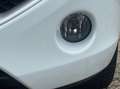 Renault Wind 1.2 TCE EXCEPTION | NL-AUTO! | DEALER OH! Blanc - thumbnail 26