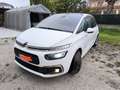 Citroen C4 SpaceTourer 1.5 bluehdi Feel s&s 130cv eat8 Bianco - thumbnail 9