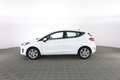 Ford Fiesta 1.1 75 CV 5 porte Titanium Bianco - thumbnail 6