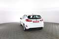 Ford Fiesta 1.1 75 CV 5 porte Titanium Bianco - thumbnail 5