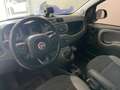 Fiat Panda Panda III 2016 4x4 1.3 mjt 16v 4x4 s Wit - thumbnail 6