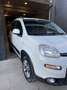 Fiat Panda Panda III 2016 4x4 1.3 mjt 16v 4x4 s Wit - thumbnail 9