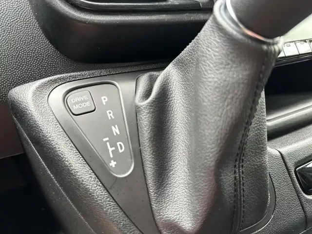 Fiat Ducato view 10