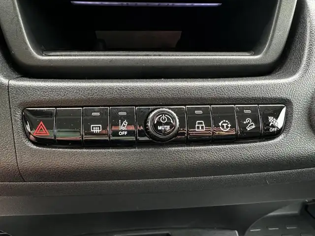 Fiat Ducato view 13