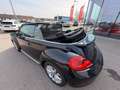 Volkswagen Beetle Cabrio 1,2 TSI BMT Design Schwarz - thumbnail 25