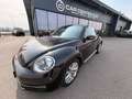 Volkswagen Beetle Cabrio 1,2 TSI BMT Design Schwarz - thumbnail 21