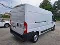 Fiat Ducato 35 2.3 MJT 140CV PASSO LUNGO.T.M. Maxi N°GD800 Bianco - thumbnail 10