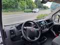 Fiat Ducato 35 2.3 MJT 140CV PASSO LUNGO.T.M. Maxi N°GD800 Bianco - thumbnail 12