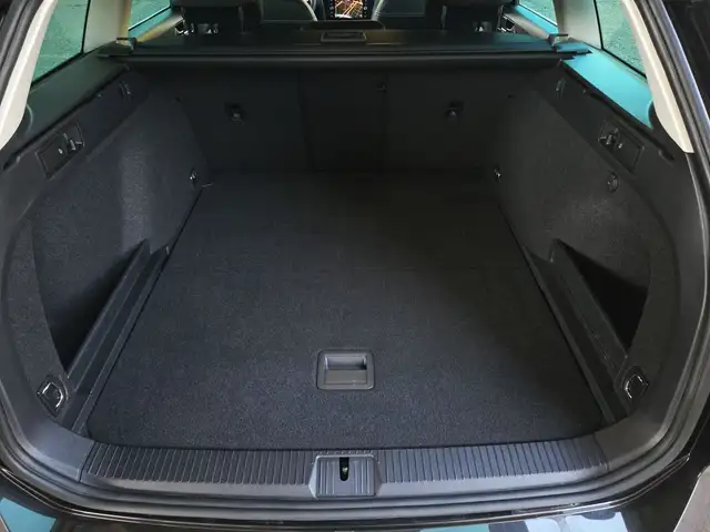 Volkswagen Passat view 12