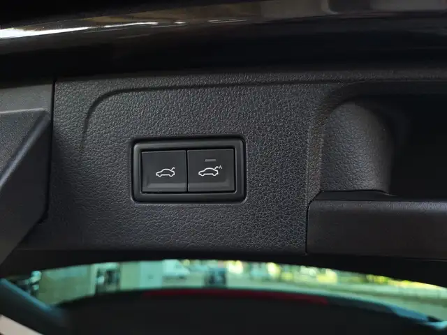 Volkswagen Passat view 13
