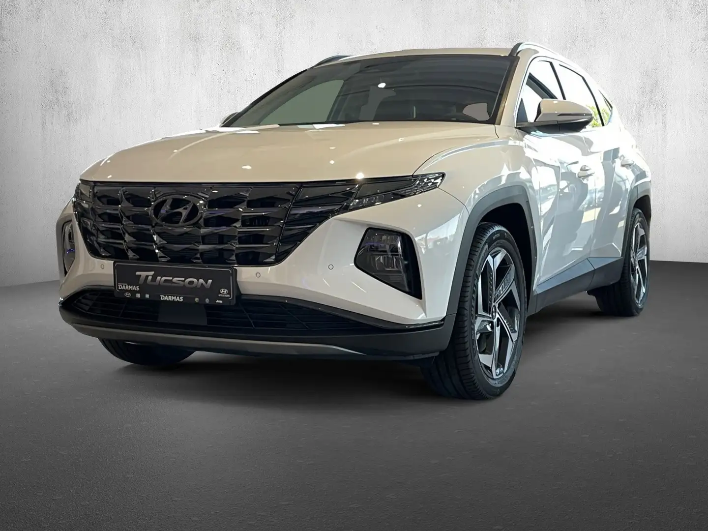 Hyundai TUCSON TUCSON Plug-in-Hybrid 1.6 Turbo Prime 4WD Leder Білий - 1