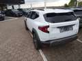 Dacia Duster TCe 130 Journey 4x4 Weiß - thumbnail 4