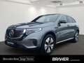 Mercedes-Benz EQC 400 4MATIC Distr KeyGo PTS Shz Ambi FAP Mbeam Grau - thumbnail 1