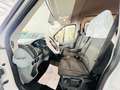 Ford Transit RTW*KTW*KRANKENWAGEN *RAMPE*LIEGE+STUHL Weiß - thumbnail 20