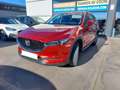 Mazda CX-5 2.0 Evolution Navi 2WD 121kW Rojo - thumbnail 3