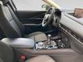 Mazda CX-30 2024 2.0L e-SKYACTIV G 122ps 6MT 2WD P Grau - thumbnail 22