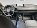 Mazda CX-30 2024 2.0L e-SKYACTIV G 122ps 6MT 2WD P Grau - thumbnail 19