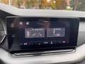 Skoda Octavia Octavia 1.4tsi phev Executive dsg UNICO PROPRIETAR Blu/Azzurro - thumbnail 13