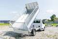 Renault Master Kipper + Laubgitter Wit - thumbnail 5