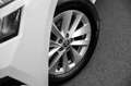 Skoda Kamiq 1.0 TSI Ambition | Cruise Controle | Airco | Carpl Blanc - thumbnail 5
