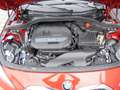 BMW 116 116 i Advantage LED Navi PDC 17 Zoll Alu 1-Hand Roşu - thumbnail 14