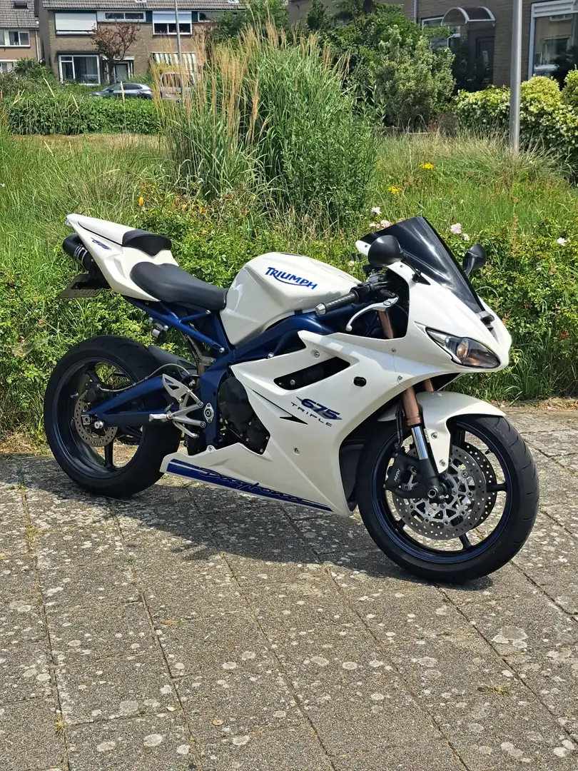Triumph Daytona 675 | 2009 | 23.437 km | in zeer nette staat! Wit - 1