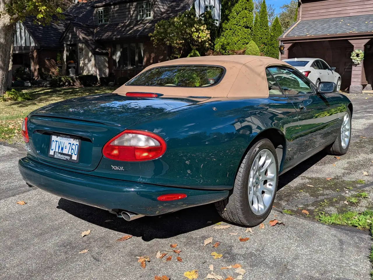 Jaguar XK fotografie Jaguar XK