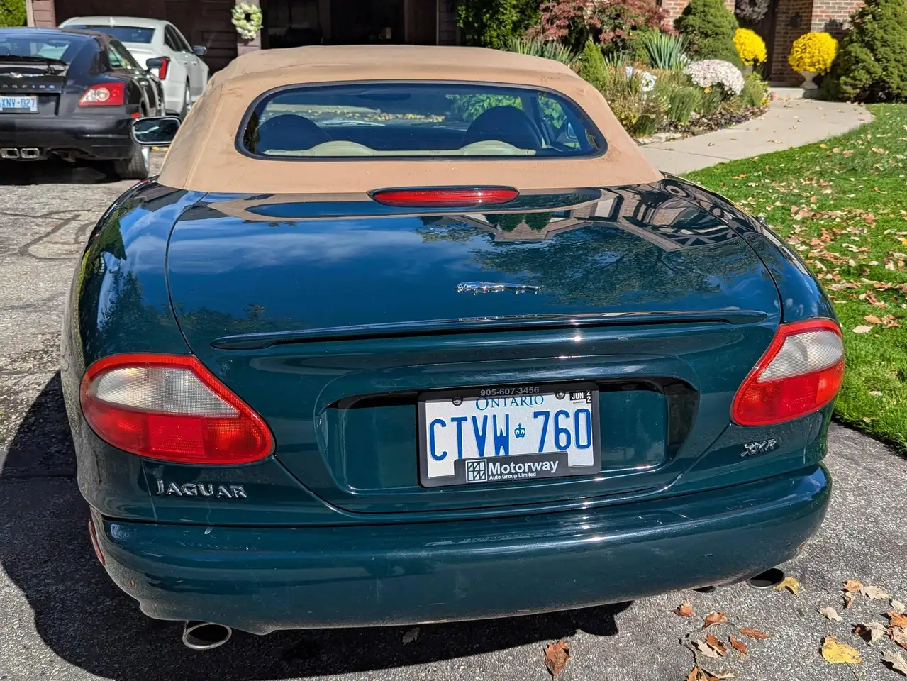 Jaguar XK fotografie Jaguar XK