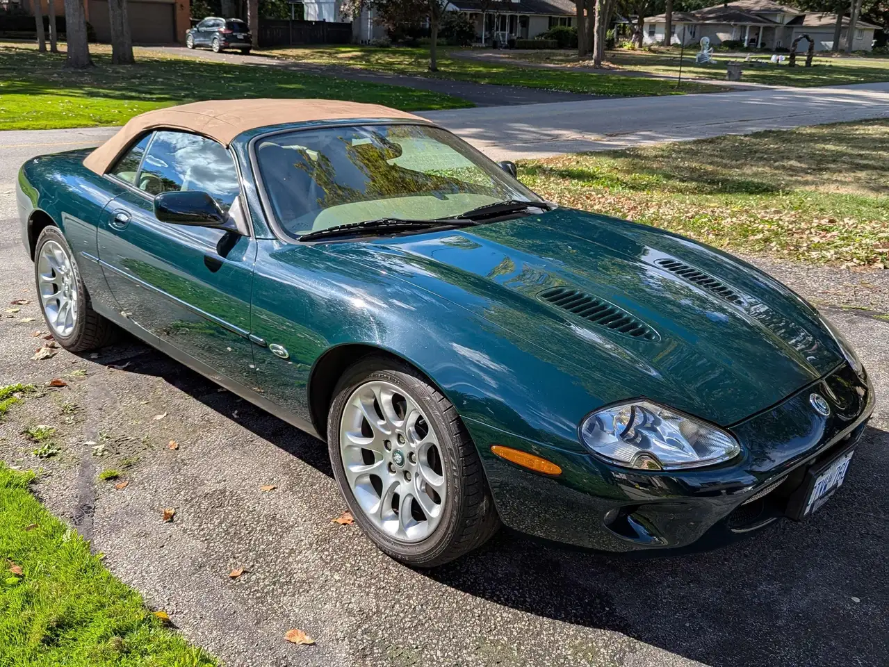 Jaguar XK fotografie Jaguar XK
