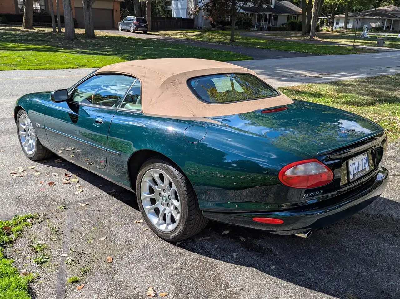 Jaguar XK fotografie Jaguar XK