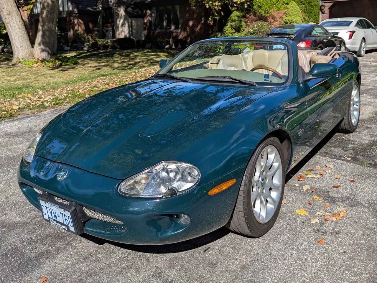 Jaguar XK fotografie Jaguar XK