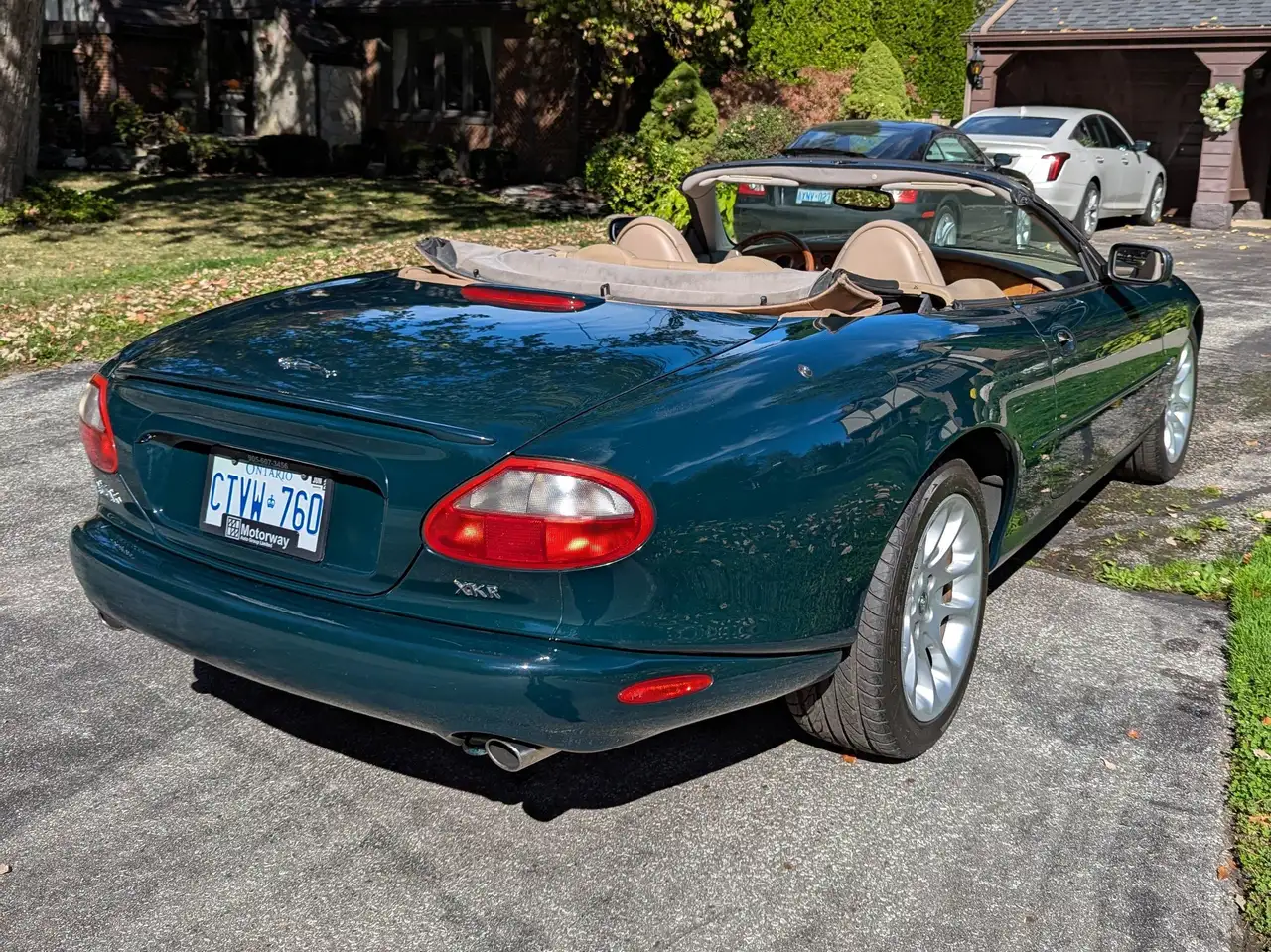 Jaguar XK fotografie Jaguar XK
