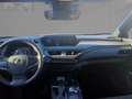 Lexus UX 250h Style Edition Apple-Car-Play Tempomat Grau - thumbnail 9