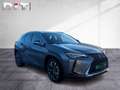 Lexus UX 250h Style Edition Apple-Car-Play Tempomat Grau - thumbnail 8