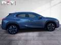 Lexus UX 250h Style Edition Apple-Car-Play Tempomat Grau - thumbnail 7