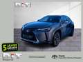Lexus UX 250h Style Edition Apple-Car-Play Tempomat Grau - thumbnail 1