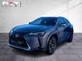 Lexus UX 250h Style Edition Apple-Car-Play Tempomat Grau - thumbnail 2