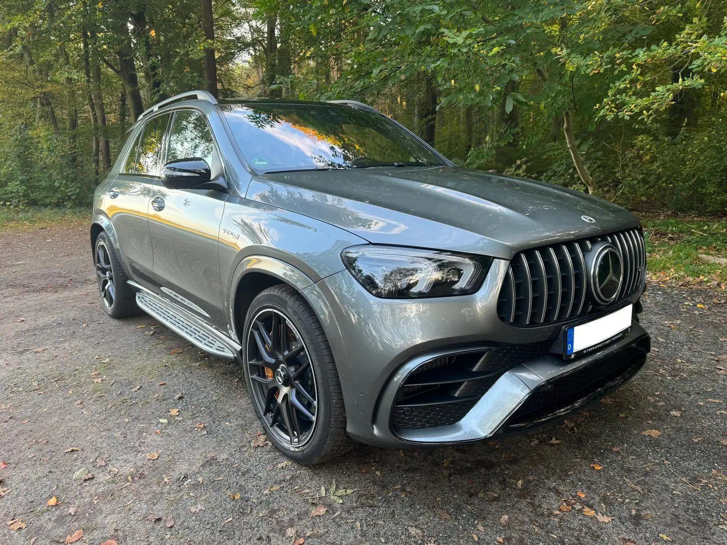 Mercedes-Benz GLE 63 AMG AMG GLE 63S / Vollausstattung Grau - 2
