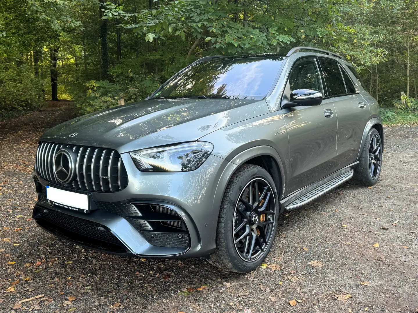 Mercedes-Benz GLE 63 AMG AMG GLE 63S / Vollausstattung Grau - 1