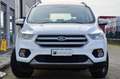 Ford Kuga 1.5 tdci Plus 120cv PREZZO REALE, PERMUTE Bianco - thumbnail 2