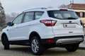 Ford Kuga 1.5 tdci Plus 120cv PREZZO REALE, PERMUTE Bianco - thumbnail 4