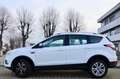 Ford Kuga 1.5 tdci Plus 120cv PREZZO REALE, PERMUTE Bianco - thumbnail 3
