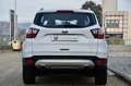Ford Kuga 1.5 tdci Plus 120cv PREZZO REALE, PERMUTE Bianco - thumbnail 5