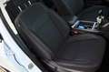 Ford Kuga 1.5 tdci Plus 120cv PREZZO REALE, PERMUTE Bianco - thumbnail 14
